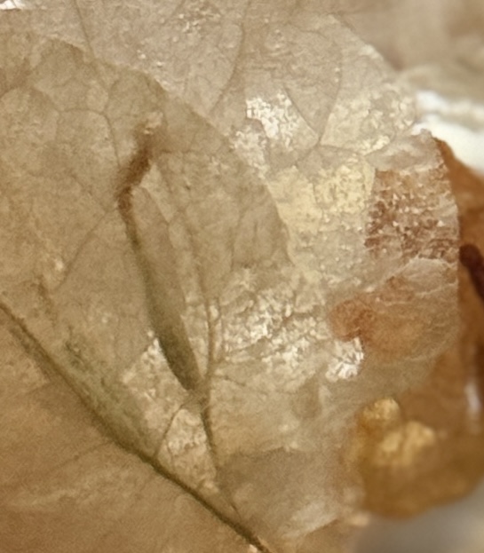 Premium Candle Holder – view 4