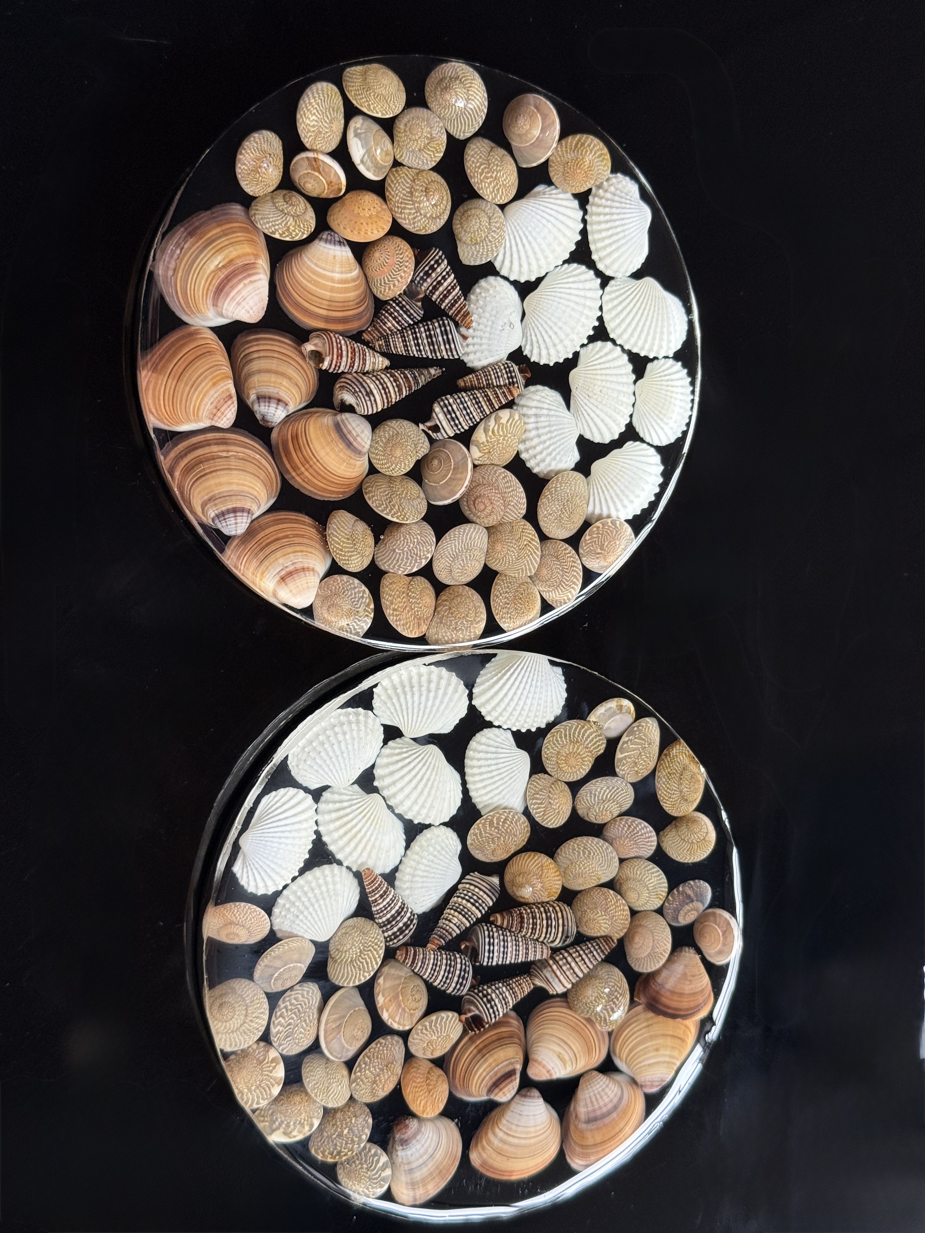 Shell Haven Coasters – view 2