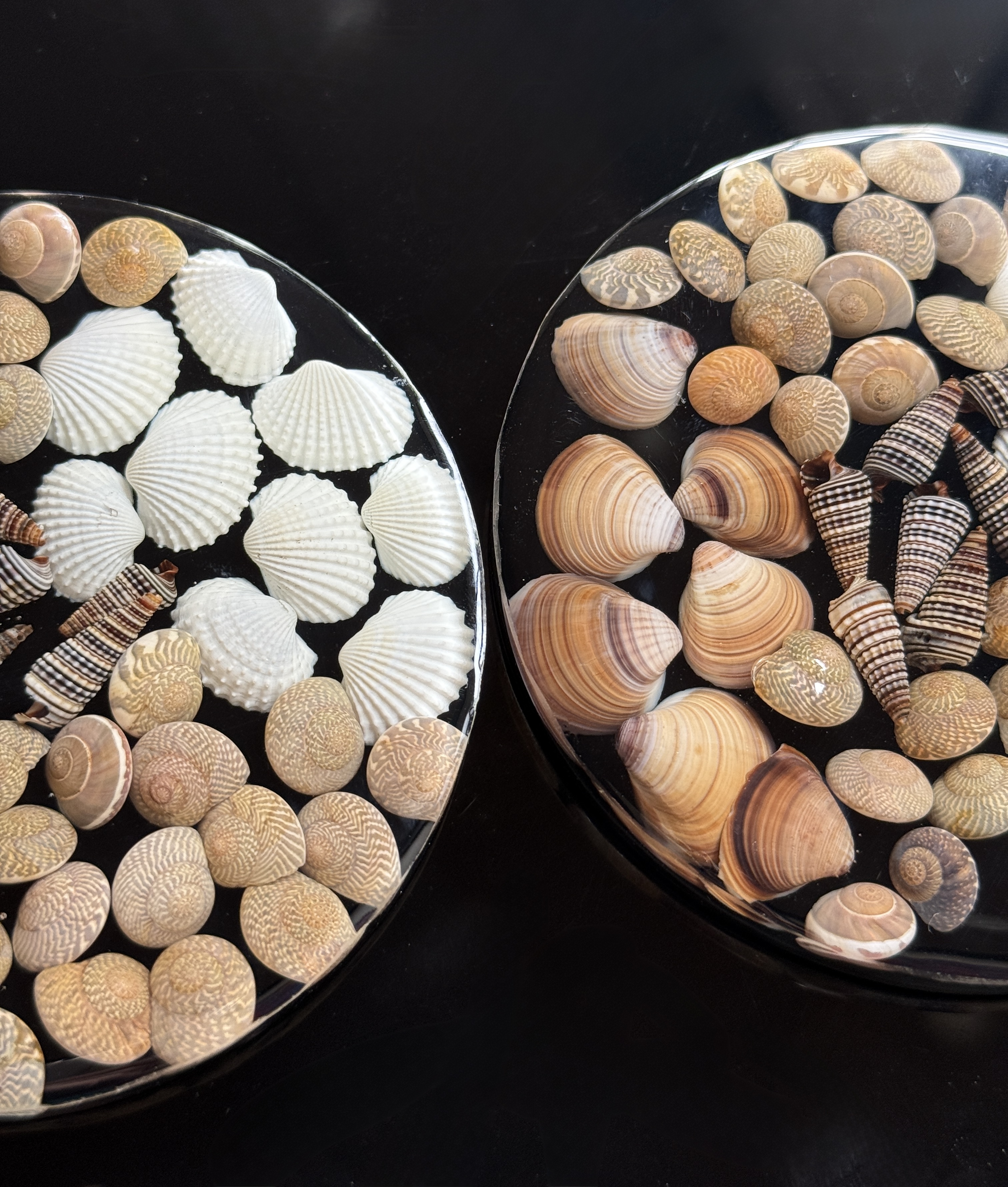 Shell Haven Coasters – view 3